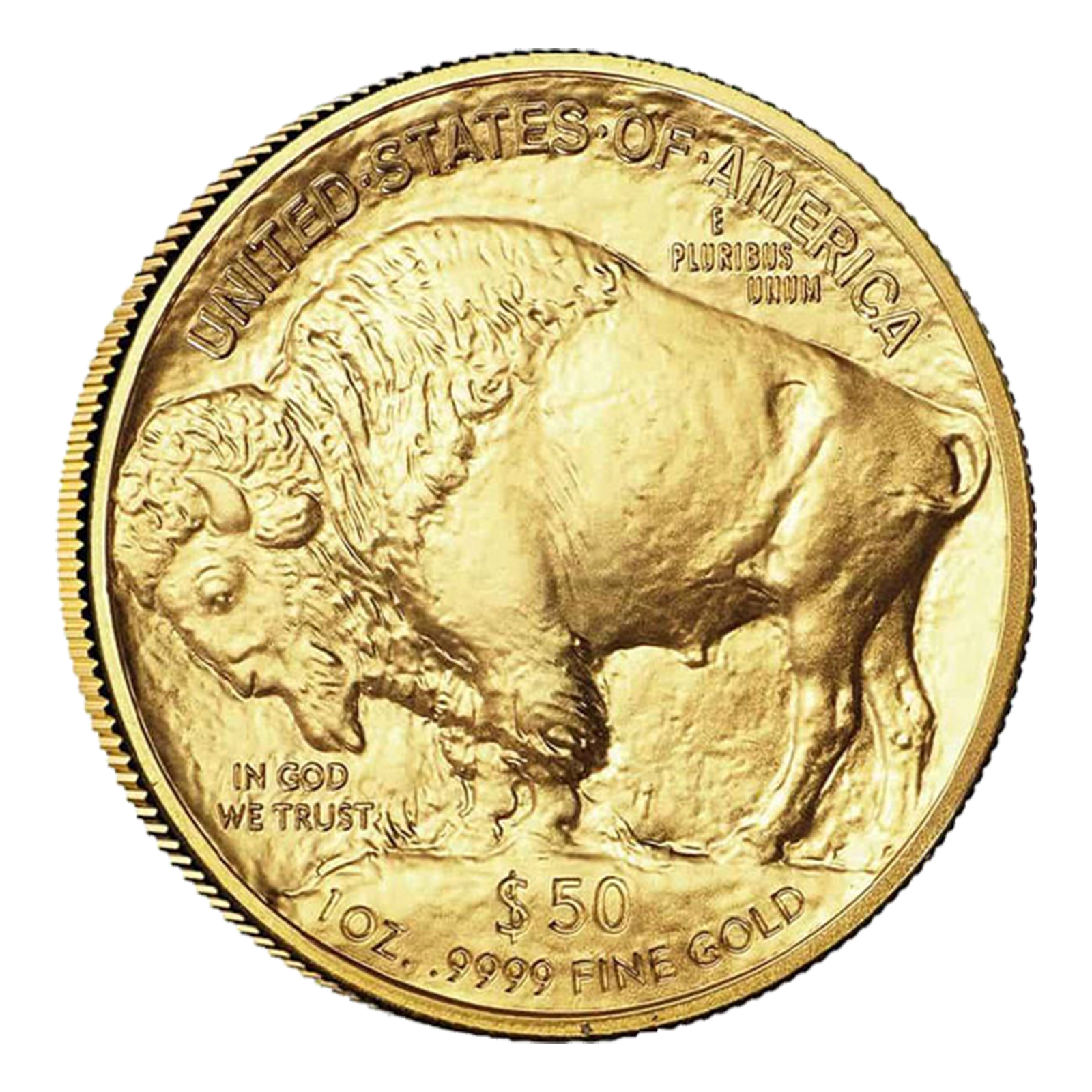 2026 1 oz Gold Buffalo Tube (20 coins) - MintFirst™, image 1