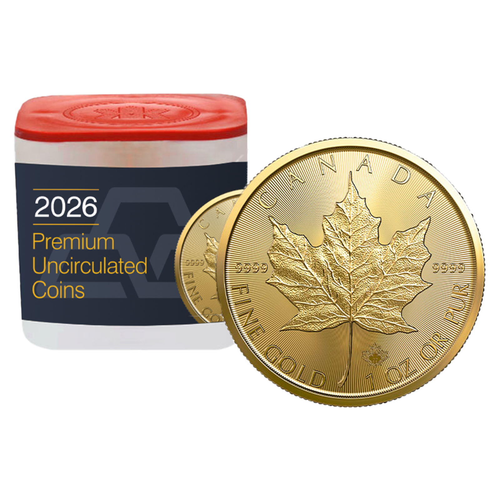 2026 MintFirst™ 1 oz Gold Maple Leaf Coins (tube of 10), image 0