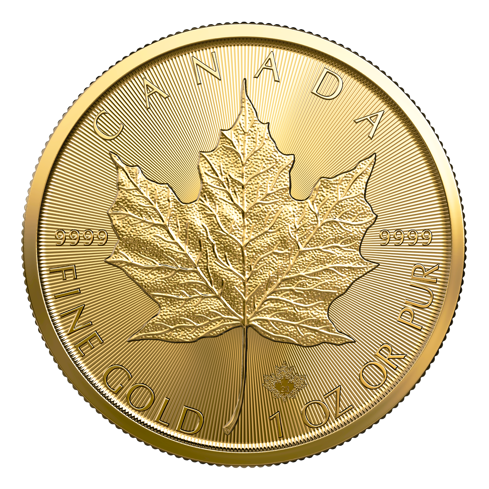 2026 MintFirst™ 1 oz Gold Maple Leaf Coins (tube of 10), image 1