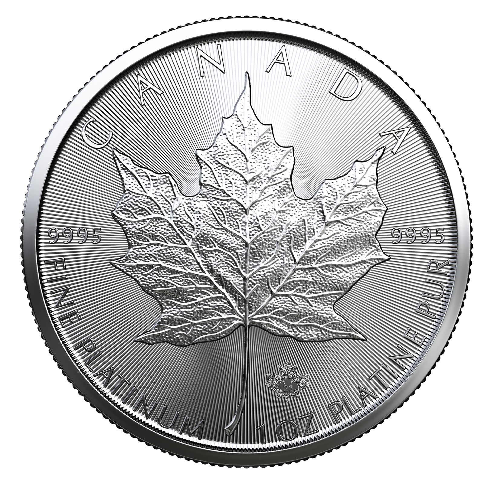 2026 MintFirst™ 1 oz Platinum Maple Leaf Coins (tube of 10), image 1