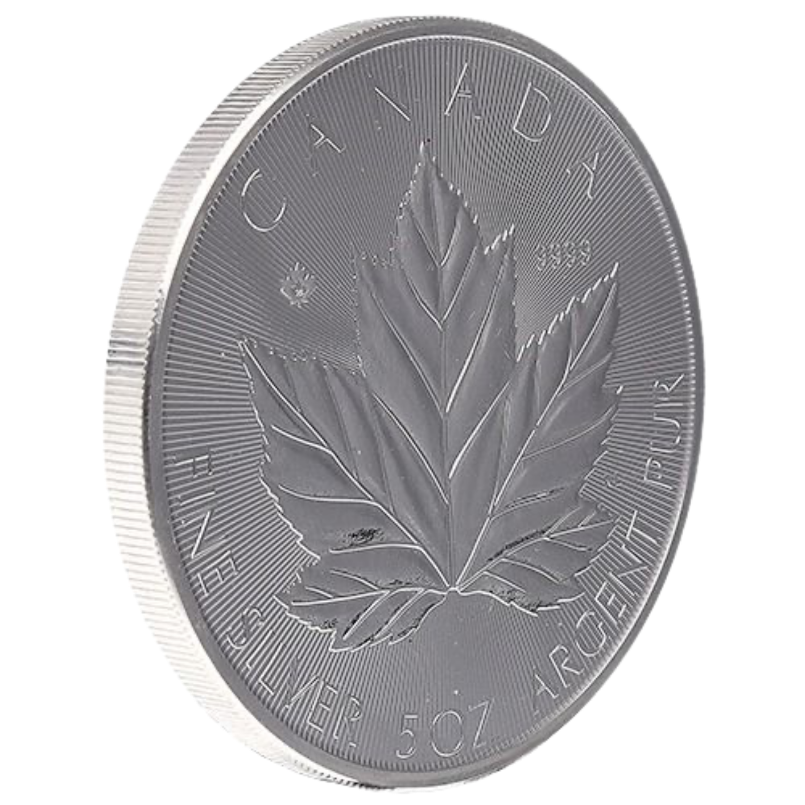 5 oz Silver Grand Maple Leaf Coin (2026), image 3