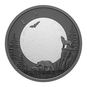 Buy 9.5 oz Silver Puzzle Moon Phases Coin (2025), image 10