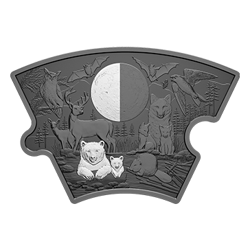 Buy 9.5 oz Silver Puzzle Moon Phases Coin (2025), image 4