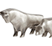 Buy Silver Bull Bear Statues, image 0