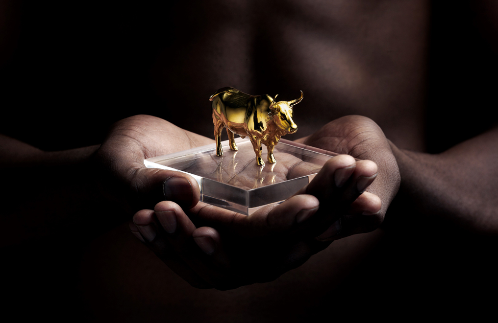 Buy Nguni Gold Bull Statue, image 2