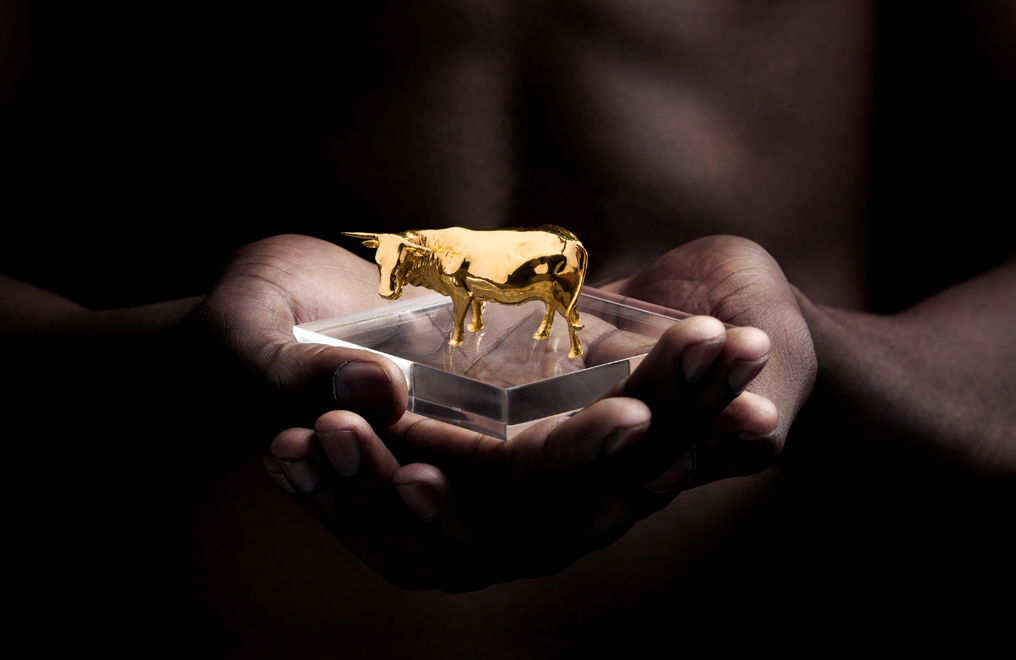 Nguni Gold Cow Statue, image 2