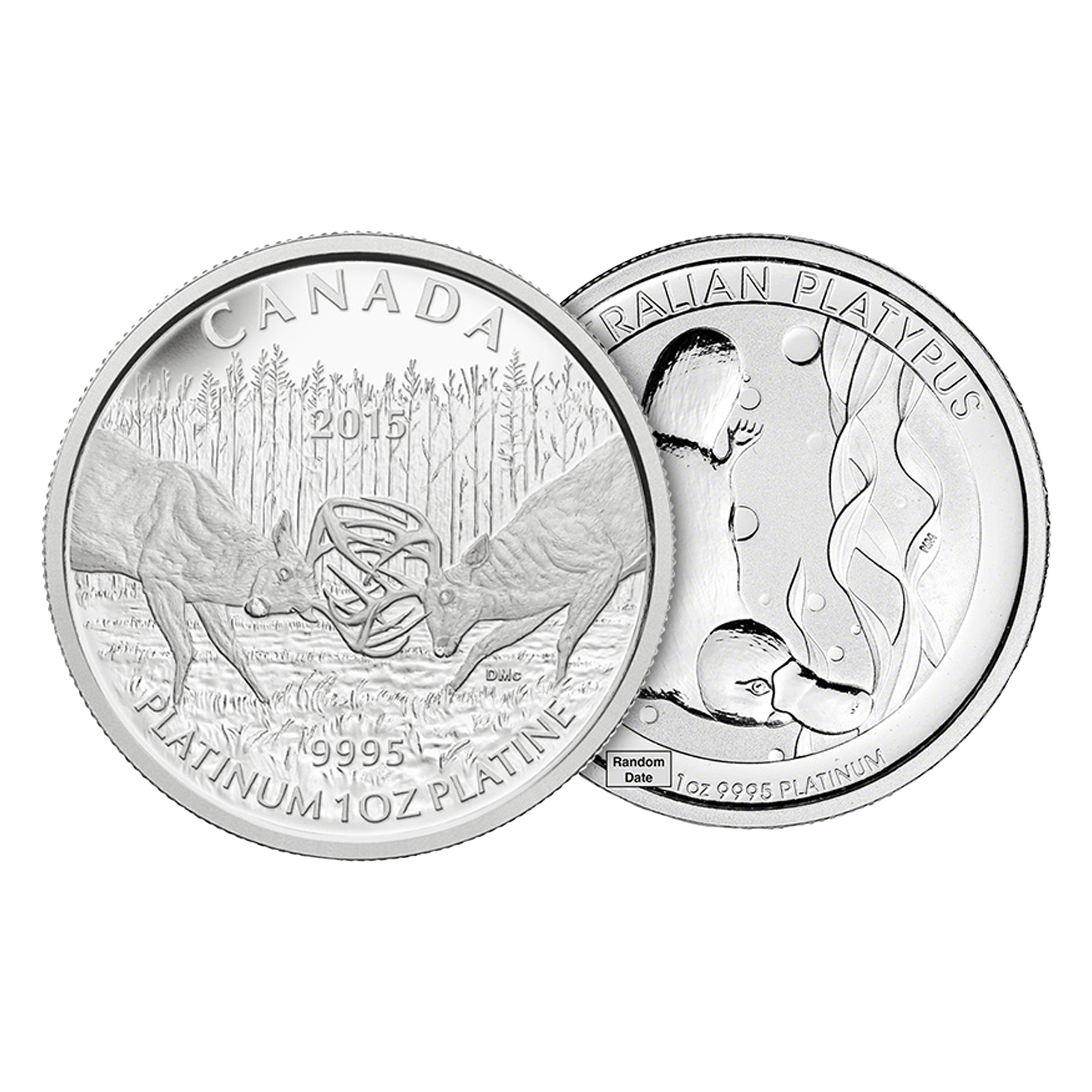 Platinum - 1 oz Coin or Round 9995, image 0